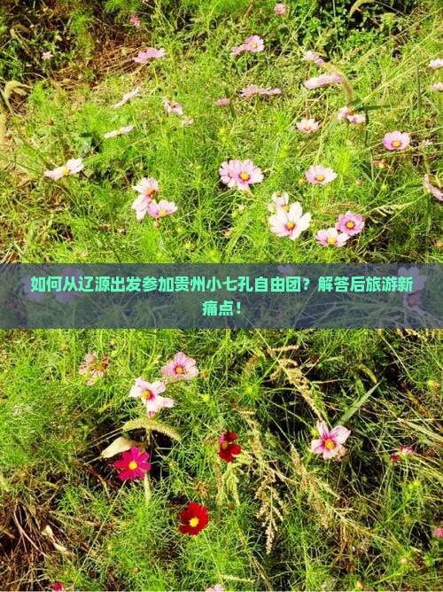 如何从辽源出发参加贵州小七孔自由团？解答后旅游新痛点！