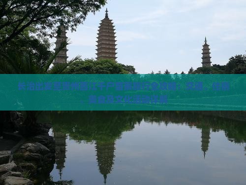 长治出发至贵州西江千户苗寨旅行全攻略：交通、住宿、美食及文化活动详解