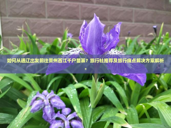 如何从通辽出发前往贵州西江千户苗寨？旅行社推荐及旅行痛点解决方案解析。
