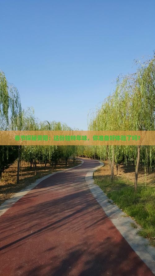 春节探秘贵阳：这份独特年味，你准备好体验了吗？