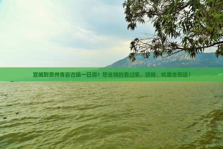 宣城到贵州青岩古镇一日游？想省钱的看过来，攻略、优惠全在这！