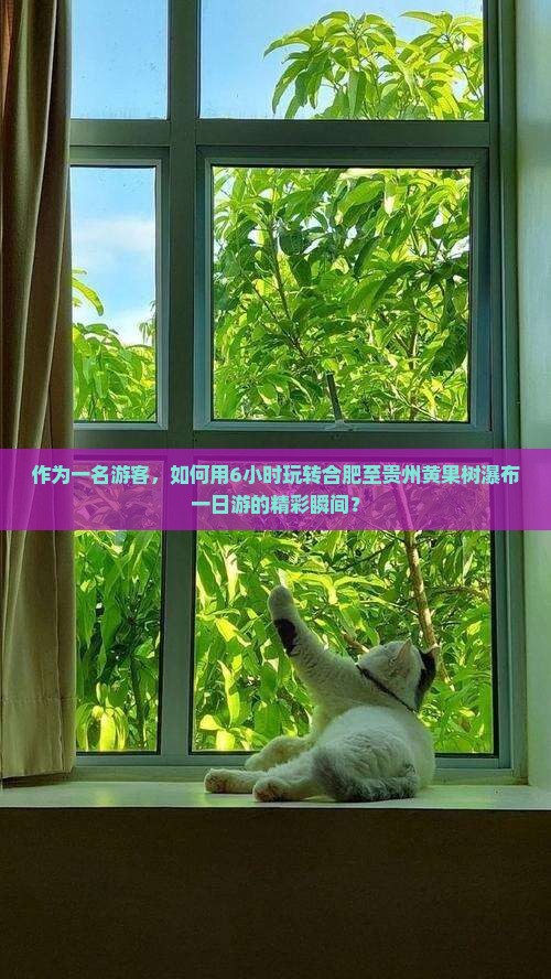 作为一名游客，如何用6小时玩转合肥至贵州黄果树瀑布一日游的精彩瞬间？
