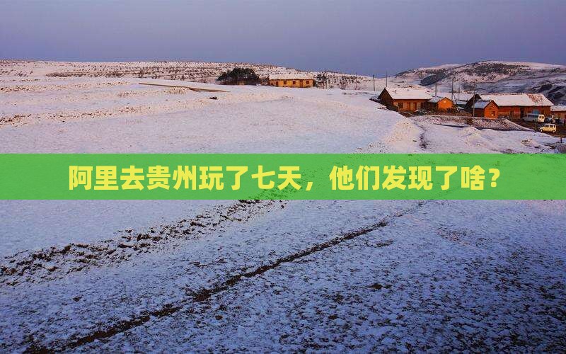 阿里去贵州玩了七天，他们发现了啥？