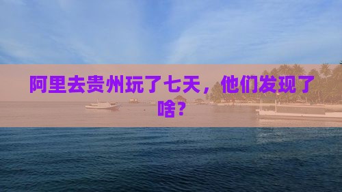 阿里去贵州玩了七天，他们发现了啥？