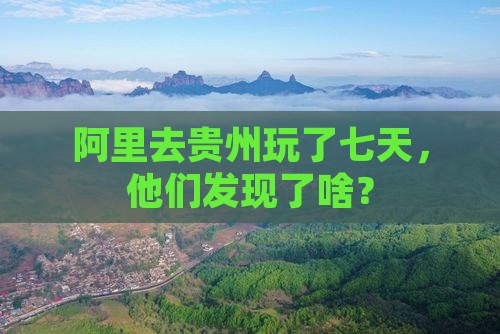 阿里去贵州玩了七天，他们发现了啥？