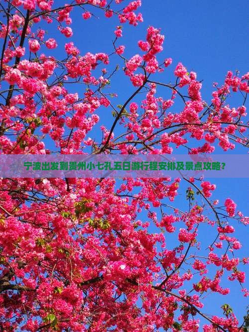 宁波出发到贵州小七孔五日游行程安排及景点攻略？