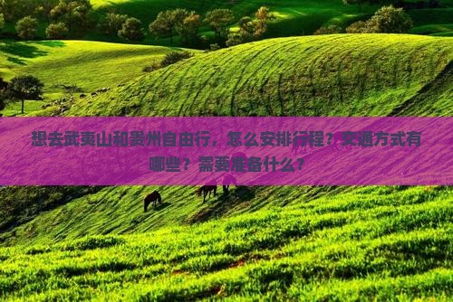 想去武夷山和贵州自由行，怎么安排行程？交通方式有哪些？需要准备什么？