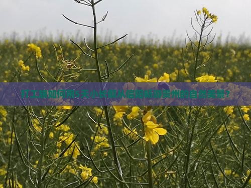 打工族如何用5天小长假从信阳畅游贵州的自然美景？