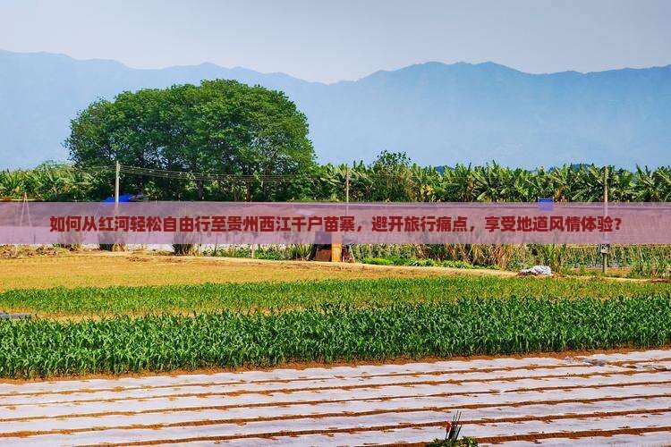 如何从红河轻松自由行至贵州西江千户苗寨，避开旅行痛点，享受地道风情体验？