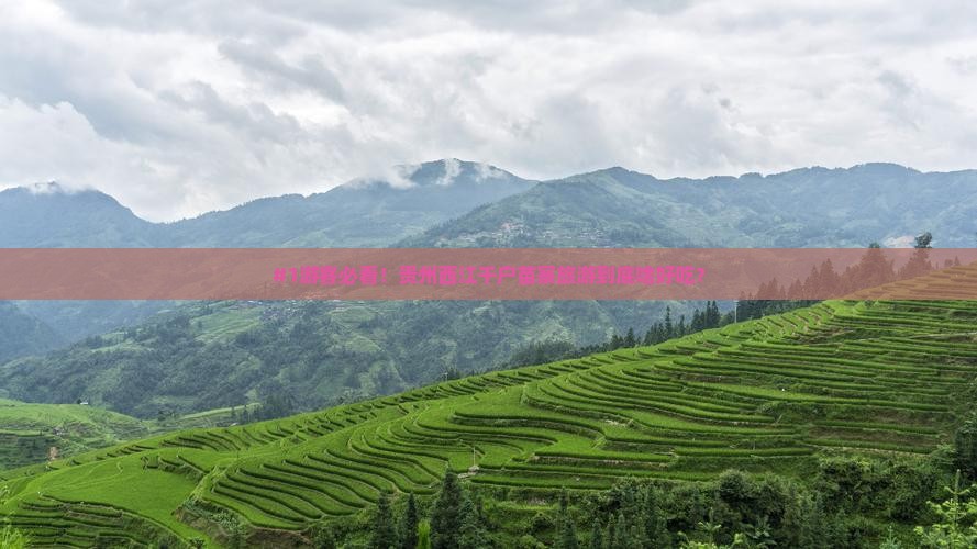 #1游客必看！贵州西江千户苗寨旅游到底啥好吃？