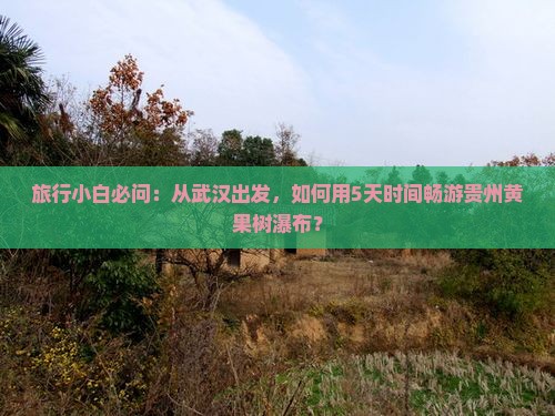 旅行小白必问：从武汉出发，如何用5天时间畅游贵州黄果树瀑布？