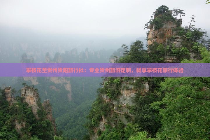 攀枝花至贵州贵阳旅行社：专业贵州旅游定制，畅享攀枝花旅行体验