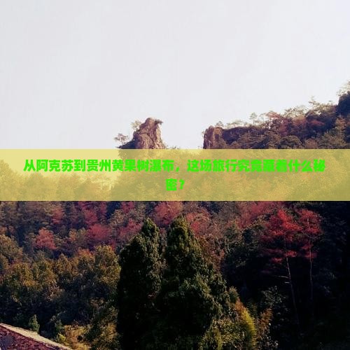 从阿克苏到贵州黄果树瀑布，这场旅行究竟藏着什么秘密？