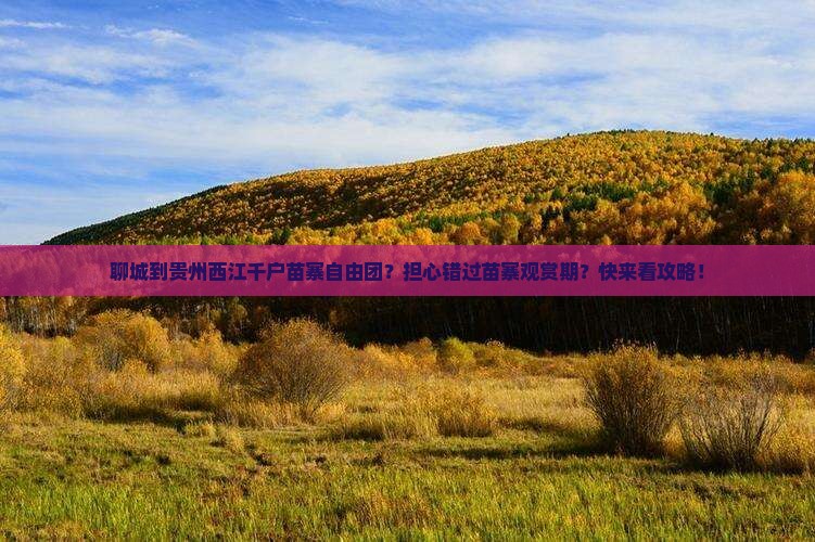 聊城到贵州西江千户苗寨自由团？担心错过苗寨观赏期？快来看攻略！