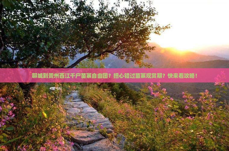 聊城到贵州西江千户苗寨自由团？担心错过苗寨观赏期？快来看攻略！