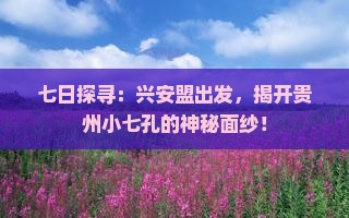 七日探寻：兴安盟出发，揭开贵州小七孔的神秘面纱！
