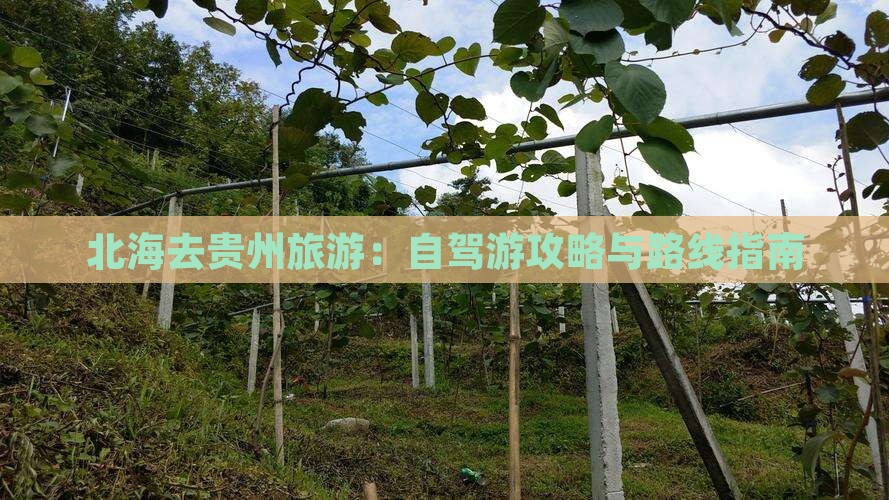 北海去贵州旅游：自驾游攻略与路线指南
