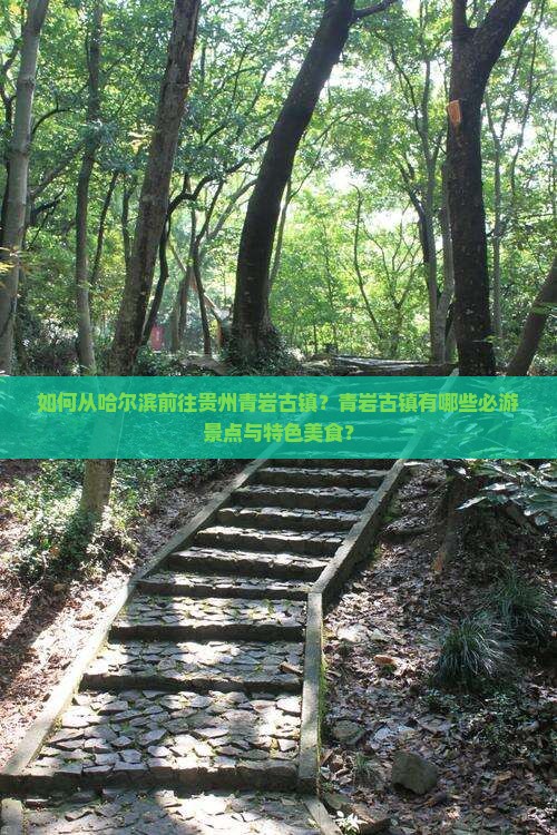 如何从哈尔滨前往贵州青岩古镇？青岩古镇有哪些必游景点与特色美食？