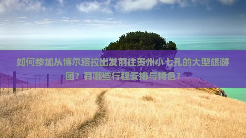 如何参加从博尔塔拉出发前往贵州小七孔的大型旅游团？有哪些行程安排与特色？