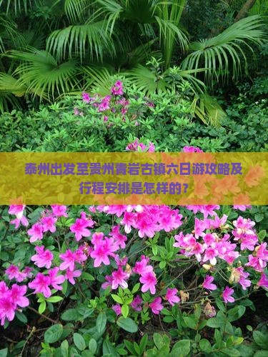泰州出发至贵州青岩古镇六日游攻略及行程安排是怎样的？