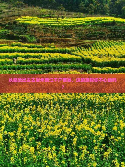 从临沧出发去贵州西江千户苗寨，这趟旅程你不心动吗？
