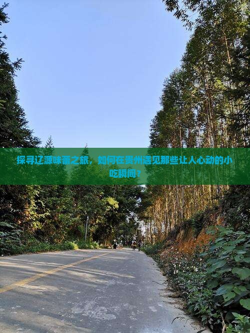 探寻辽源味蕾之旅，如何在贵州遇见那些让人心动的小吃瞬间？
