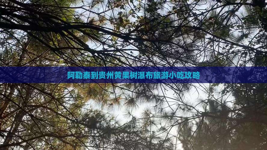 阿勒泰到贵州黄果树瀑布旅游小吃攻略