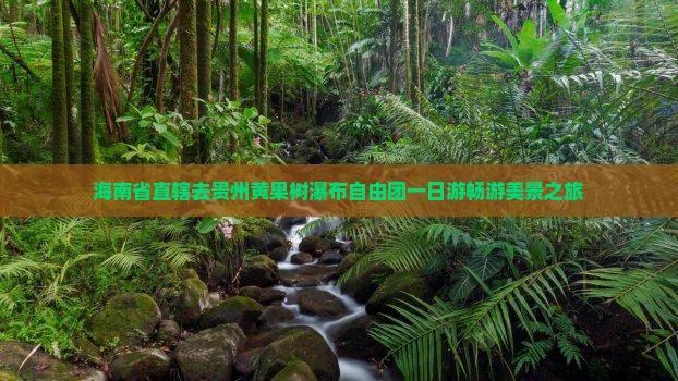 海南省直辖去贵州黄果树瀑布自由团一日游畅游美景之旅