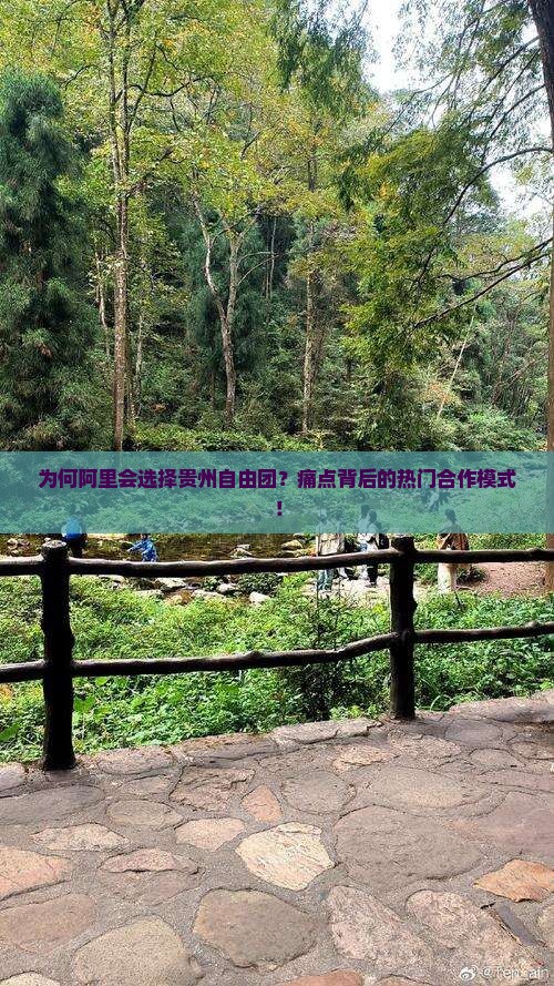 为何阿里会选择贵州自由团？痛点背后的热门合作模式！