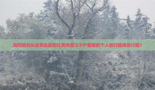 如何规划从自贡出发前往贵州西江千户苗寨的个人旅行路线及行程？