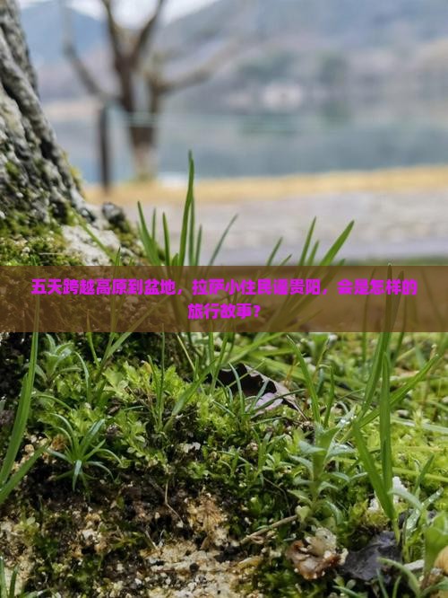 五天跨越高原到盆地，拉萨小住民谣贵阳，会是怎样的旅行故事？