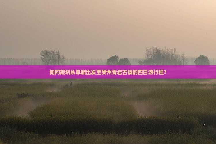 如何规划从阜新出发至贵州青岩古镇的四日游行程？