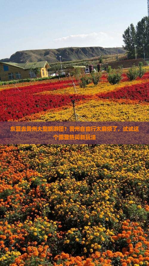 东营去贵州大型旅游团？贵州自由行太麻烦了，试试这个露营热词新玩法