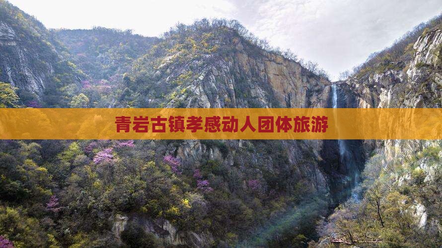青岩古镇孝感动人团体旅游