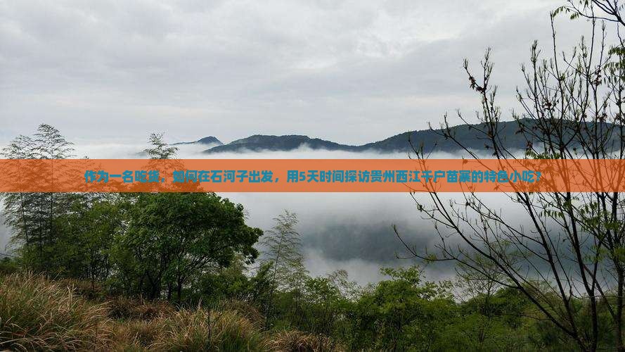 作为一名吃货，如何在石河子出发，用5天时间探访贵州西江千户苗寨的特色小吃？