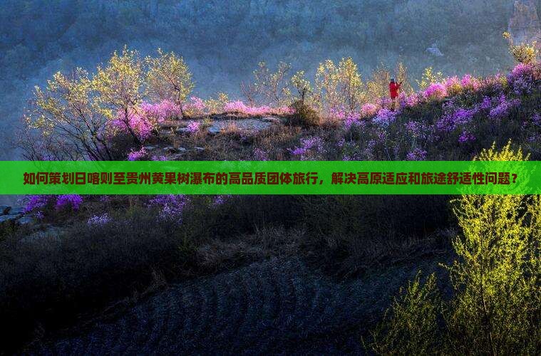 如何策划日喀则至贵州黄果树瀑布的高品质团体旅行，解决高原适应和旅途舒适性问题？