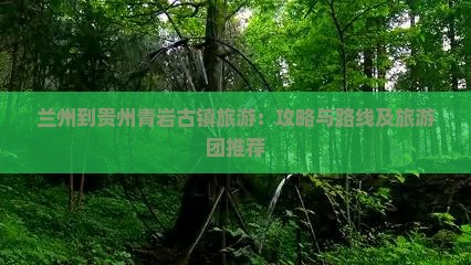 兰州到贵州青岩古镇旅游：攻略与路线及旅游团推荐