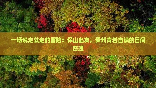 一场说走就走的冒险：保山出发，贵州青岩古镇的日间奇遇