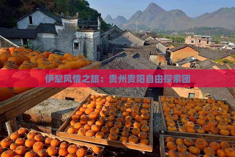 伊犁风情之旅：贵州贵阳自由探索团