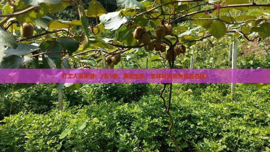 打工人周末游：2天1夜，莱芜出发，怎样畅玩贵州青岩古镇？
