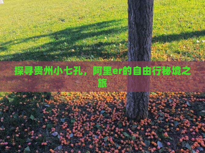探寻贵州小七孔，阿里er的自由行秘境之旅