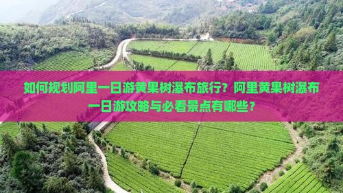 如何规划阿里一日游黄果树瀑布旅行?阿里黄果树瀑布一日游攻略与必看景点有哪些? 如何规划阿里一日游黄果树瀑布旅行?阿里黄果树瀑布一日游攻略与必看景点有哪些?