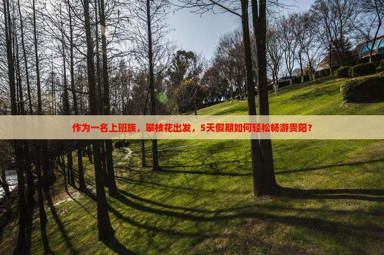 作为一名上班族，攀枝花出发，5天假期如何轻松畅游贵阳？