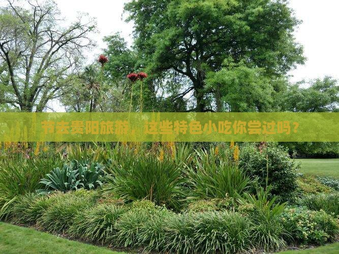 节去贵阳旅游，这些特色小吃你尝过吗？