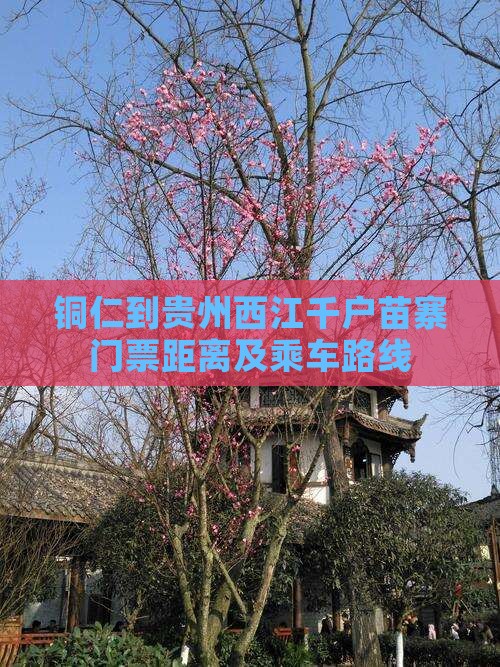 铜仁到贵州西江千户苗寨门票距离及乘车路线