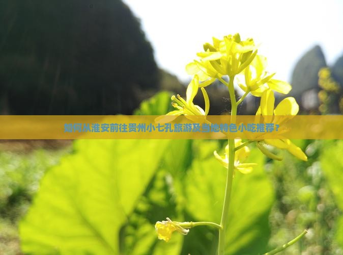 如何从淮安前往贵州小七孔旅游及当地特色小吃推荐？