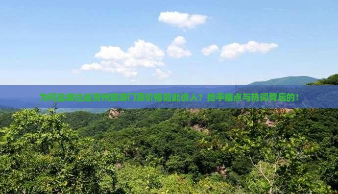 为何盐城往返贵州旅游门票价格如此诱人？抢手痛点与热词背后的！