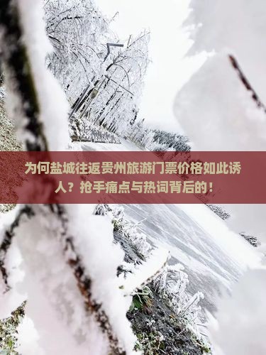 为何盐城往返贵州旅游门票价格如此诱人？抢手痛点与热词背后的！