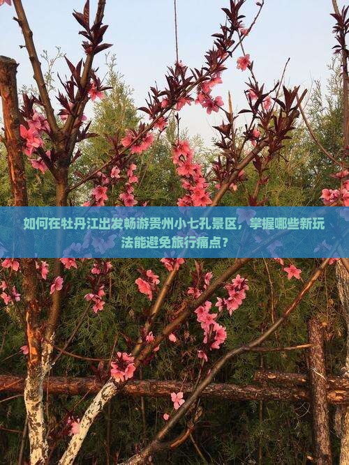 如何在牡丹江出发畅游贵州小七孔景区，掌握哪些新玩法能避免旅行痛点？