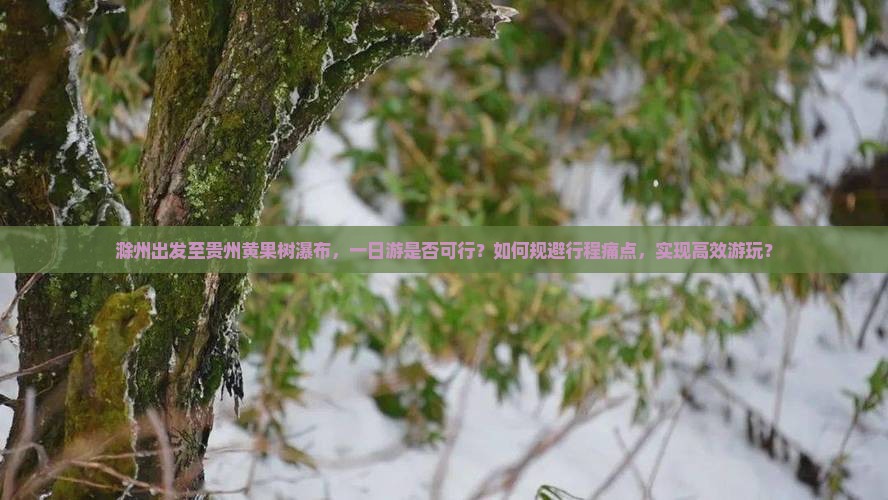 滁州出发至贵州黄果树瀑布，一日游是否可行？如何规避行程痛点，实现高效游玩？